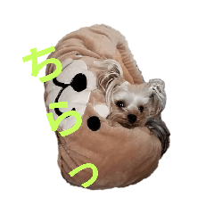 [LINEスタンプ] ヨーキーなラスク2 
