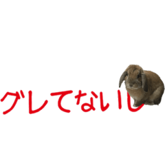 [LINEスタンプ] グレポテ(可愛いうさぎのポテ)