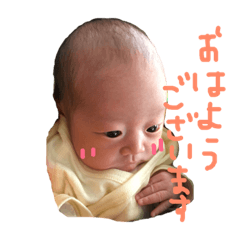[LINEスタンプ] もかちゃんスタンプ♪ fetchpriority=high