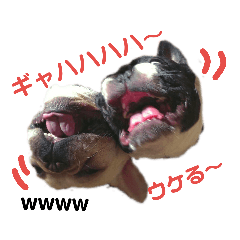 [LINEスタンプ] フレブルブラザーズ2 
