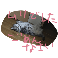 [LINEスタンプ] しふぉ！ 