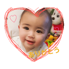 [LINEスタンプ] 毎日こはちゃん 