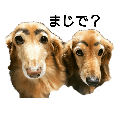 [LINEスタンプ] らむともかと愉快な仲間たち