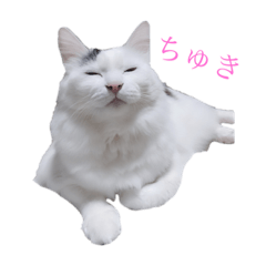 [LINEスタンプ] ぶらんぷ 