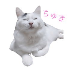 [LINEスタンプ] ぶらんぷ