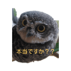 [LINEスタンプ] たろちん。 