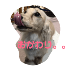 [LINEスタンプ] ナノです。よろしくどうぞ〜 