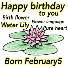 [LINEスタンプ] 2月、誕生日ごとの誕生花、花言葉。