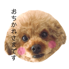 [LINEスタンプ] ちょっちゃん2