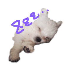 [LINEスタンプ] タナちゃん 