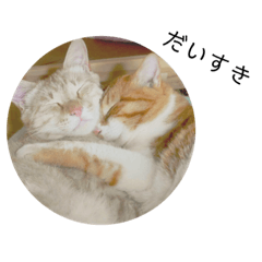 [LINEスタンプ] モリスとリウス2(日本語)の画像（メイン）