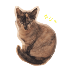 [LINEスタンプ] きらな 