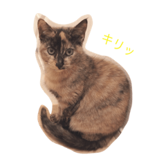 [LINEスタンプ] きらな