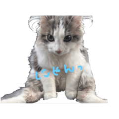 [LINEスタンプ] ヴェルたん② 