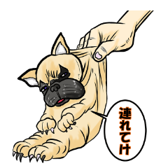 [LINEスタンプ] 我が家のリオ 