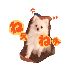 [LINEスタンプ] ポメラニアン にこの気持ち 