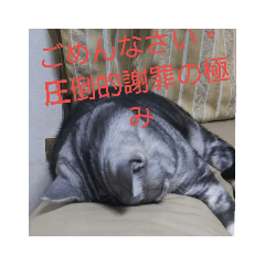 [LINEスタンプ] 男子高校生の飼い猫with鹿 