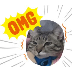 [LINEスタンプ] みる姐さんの日常スタンプ