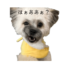 [LINEスタンプ] 受け口姫あま