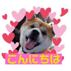 [LINEスタンプ] ぼく春太 