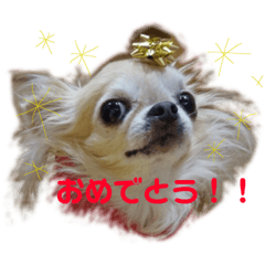 [LINEスタンプ] はなっぺスタンプ1 fetchpriority=high