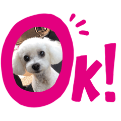 [LINEスタンプ] こゆき公式スタンプ 