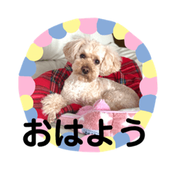 [LINEスタンプ] うちのランラン 