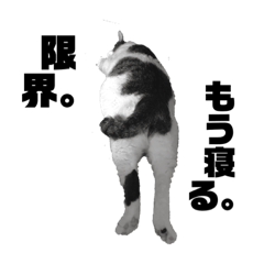 [LINEスタンプ] 私はPET 