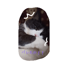 [LINEスタンプ] by koume
