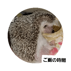 [LINEスタンプ] 針ねずみのはちべ～7の画像（メイン）