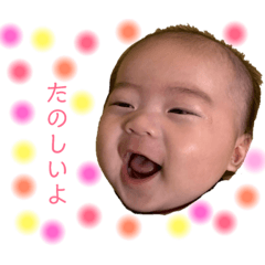 [LINEスタンプ] かいかいのスタンプ1 
