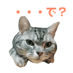 [LINEスタンプ] もも姫の日常スタンプ 