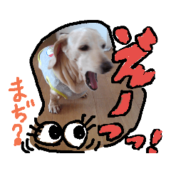 [LINEスタンプ] むぅくん、どぉだっっ 