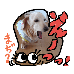 [LINEスタンプ] むぅくん、どぉだっっ