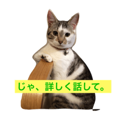 [LINEスタンプ] うちのネコスタンプ 