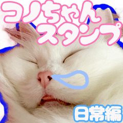 [LINEスタンプ] 白猫のコノちゃんスタンプ 