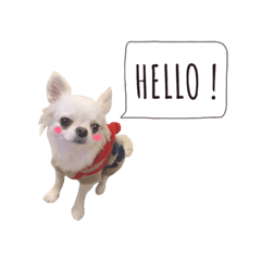 [LINEスタンプ] しょこら日和 