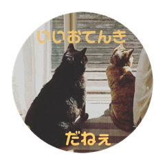 [LINEスタンプ] KIKI♡JIJI 