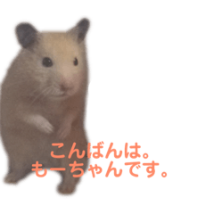 [LINEスタンプ] キンクマハムスターのモーティー 