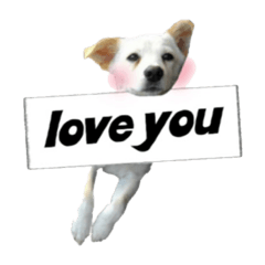 [LINEスタンプ] 愛犬ぴーすけ 