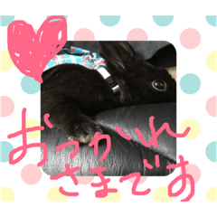 [LINEスタンプ] 黒うさぎさんお仕事スタンプ