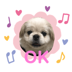 [LINEスタンプ] ちょことぷに② 