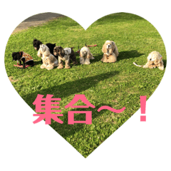 [LINEスタンプ] アメコカFuuta④［friend①］