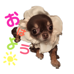 [LINEスタンプ] ビビちゃんスタンプ♡ 