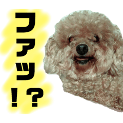 [LINEスタンプ] ぽんぽこ探検隊 