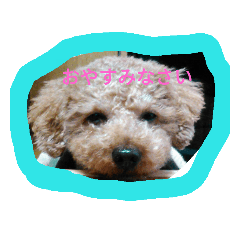[LINEスタンプ] 癒やしスタンプ 