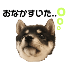 [LINEスタンプ] ほたるの日常 ① 