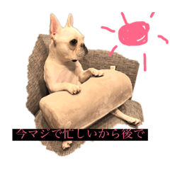 [LINEスタンプ] わんぱく家族 