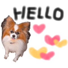 [LINEスタンプ] 日常スタンプ.. 