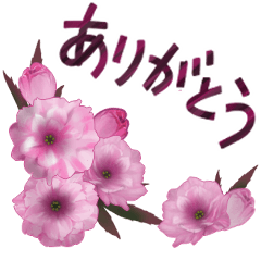 [LINEスタンプ] 春の花と優しいメッセージ